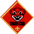 tiger